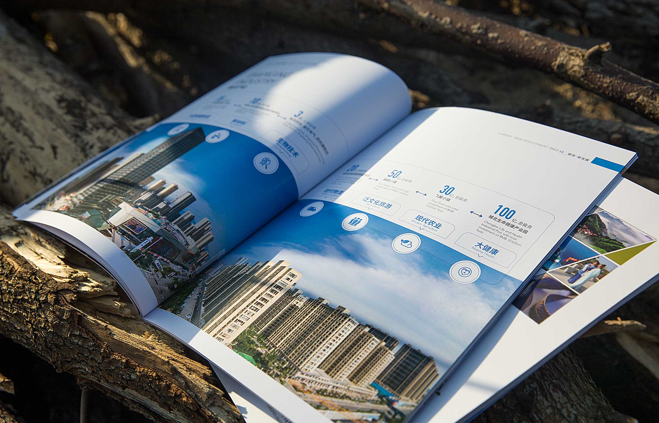 怎么判斷畫(huà)冊(cè)設(shè)計(jì)的好壞