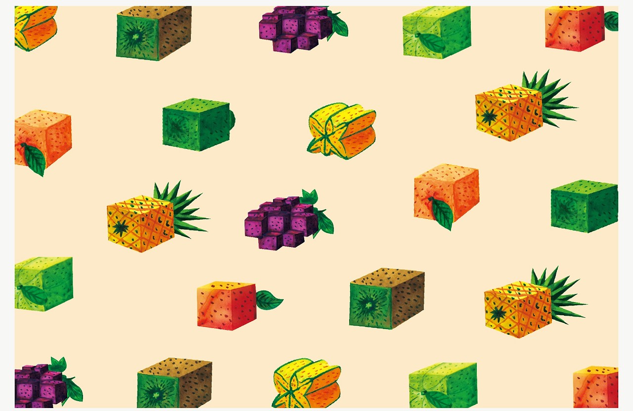 發酵果干包裝插畫